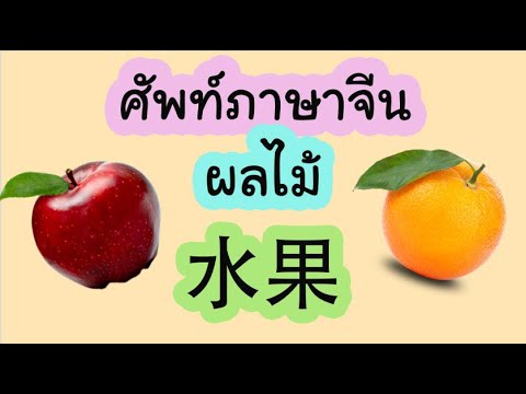 คำศัพท์ภาษาจีน ผลไม้ 水果